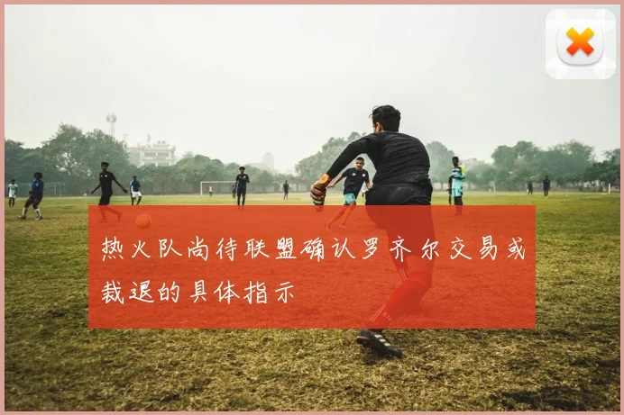 热火队尚待联盟确认罗齐尔交易或裁退的具体指示