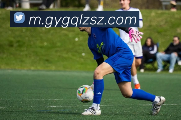 乐动体育APP 封面图